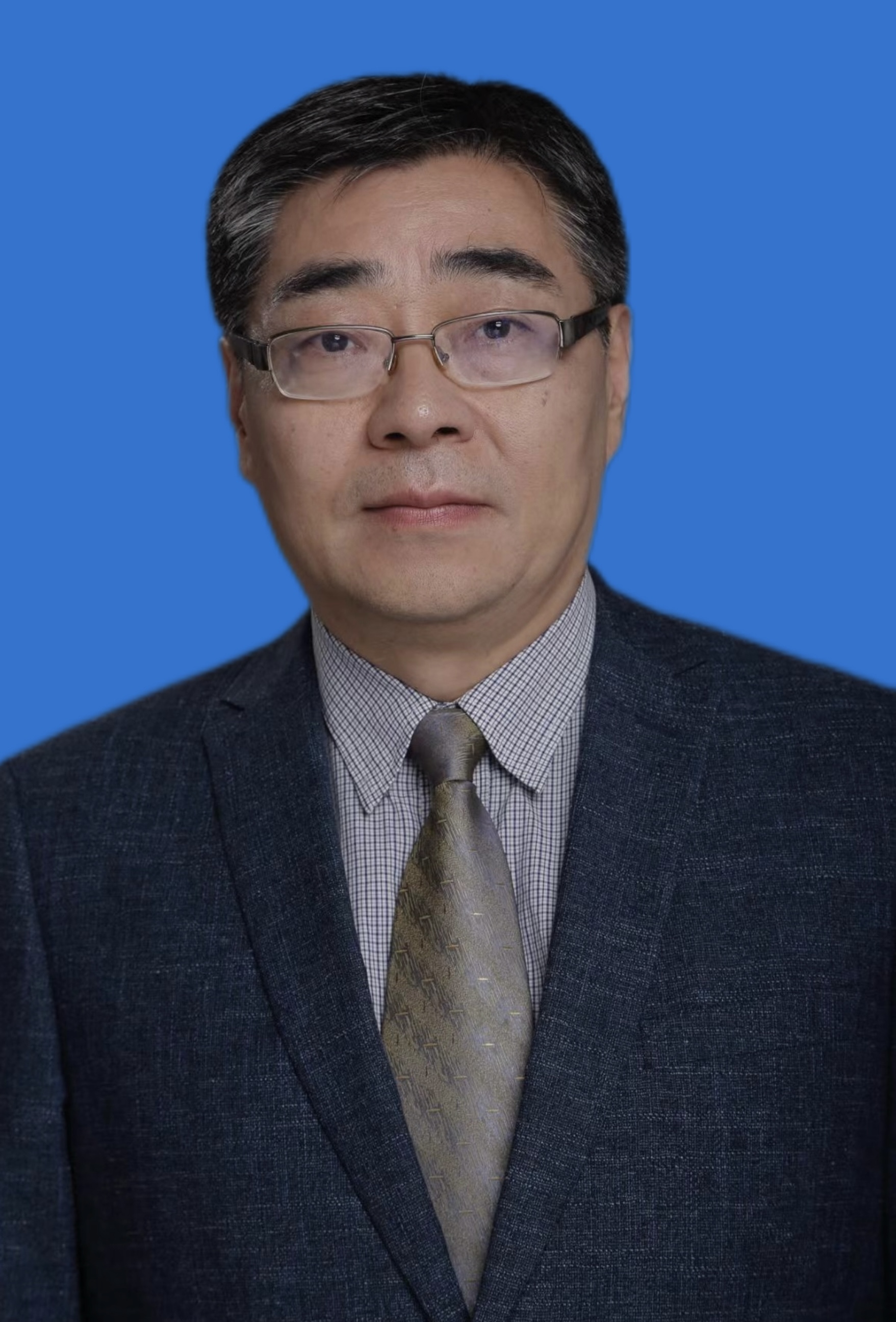王春 副会长