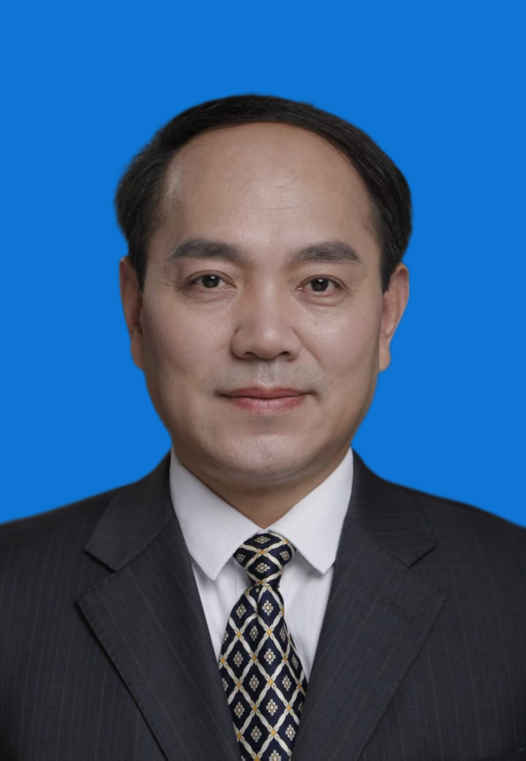 冯美江 副会长